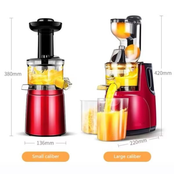 Big mouth cold pressed Home and Commercial Juicer Electric Fruits and Vegetables Machine - Image 2